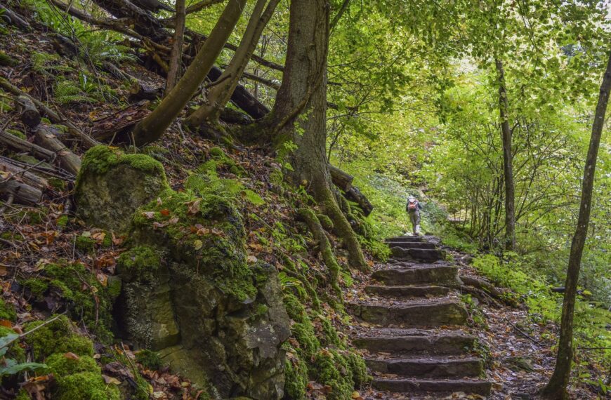 Wallonie mon amour 2