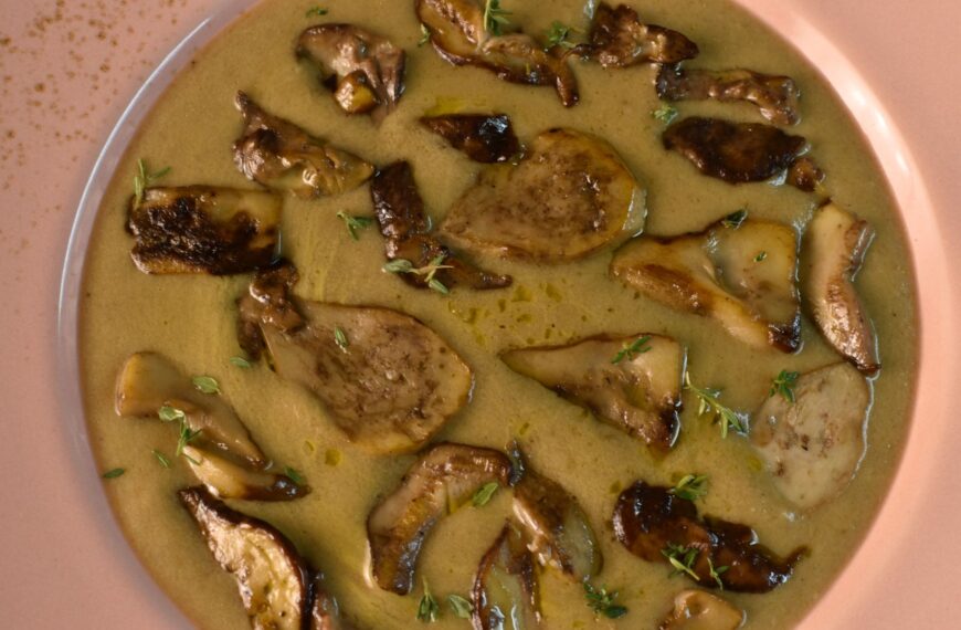 porcini mushrooms soup